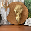 GOTHIC RAVEN SKULL
