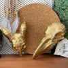 GOTHIC RAVEN SKULL
