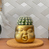 Baby Face Succulent Planter