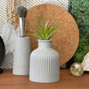 SKINNY MINI VASE | AIR PLANT HOLDER