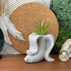 Banana Air Plant Holder