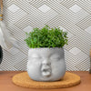 Baby Face Succulent Planter