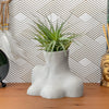 Large Female Body Vase