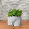 Male Body Planter Pot | Butt