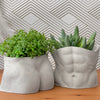 Male Body Planter Pot | TORSO