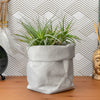 Paper Bag Succulent Planter Pot