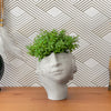 Face Succulent Planter on Hand
