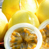 Passion Fruit 'Yellow’ (Passiflora edulis flavicarpa)