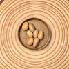 Zamia Furfuracea 'Cardboard Palm' Seeds – photo 2